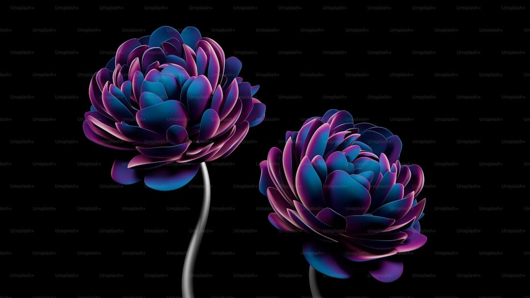 http://n.sinaimg.cn/front/w445h448/20180311/0NlL-fxpwyhx1196506.gif